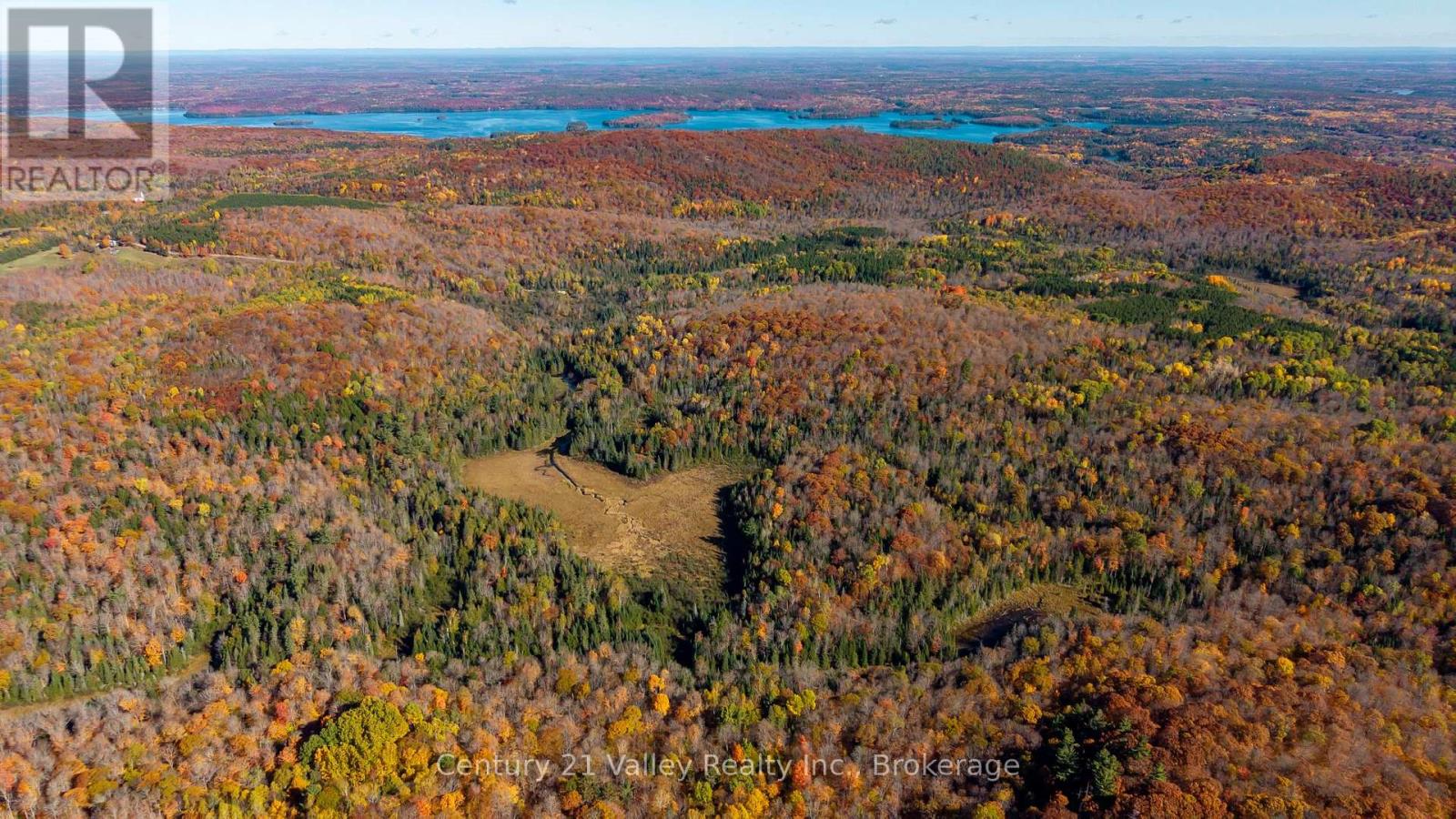 170 Shavens Lake Road, Bonnechere Valley, Ontario  K0J 1T0 - Photo 15 - X12949094