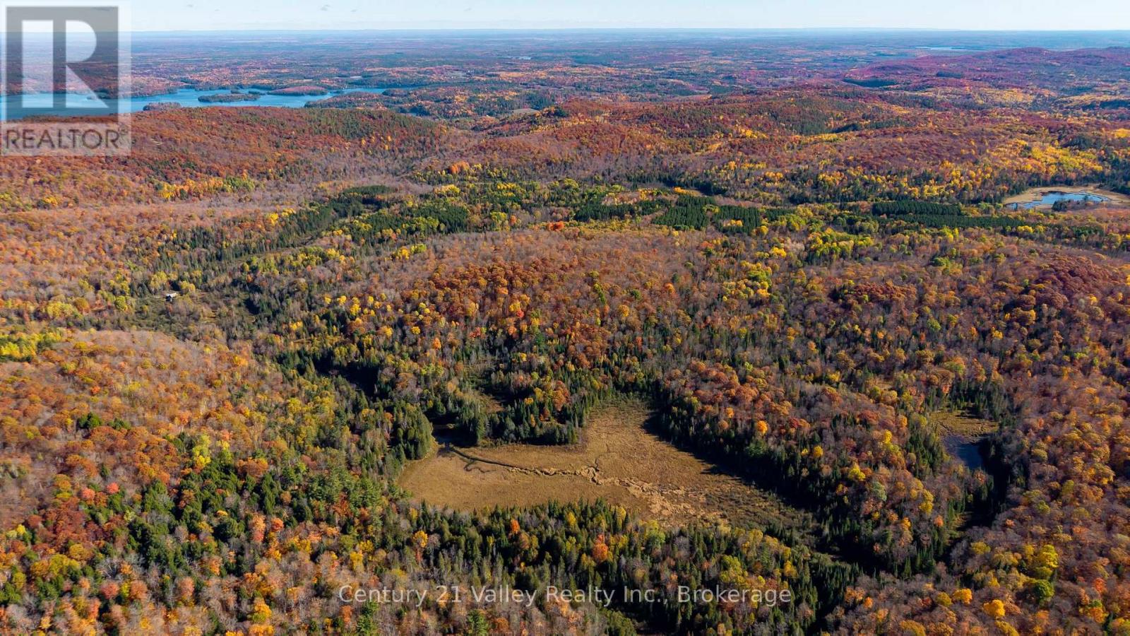 170 Shavens Lake Road, Bonnechere Valley, Ontario  K0J 1T0 - Photo 16 - X12949094