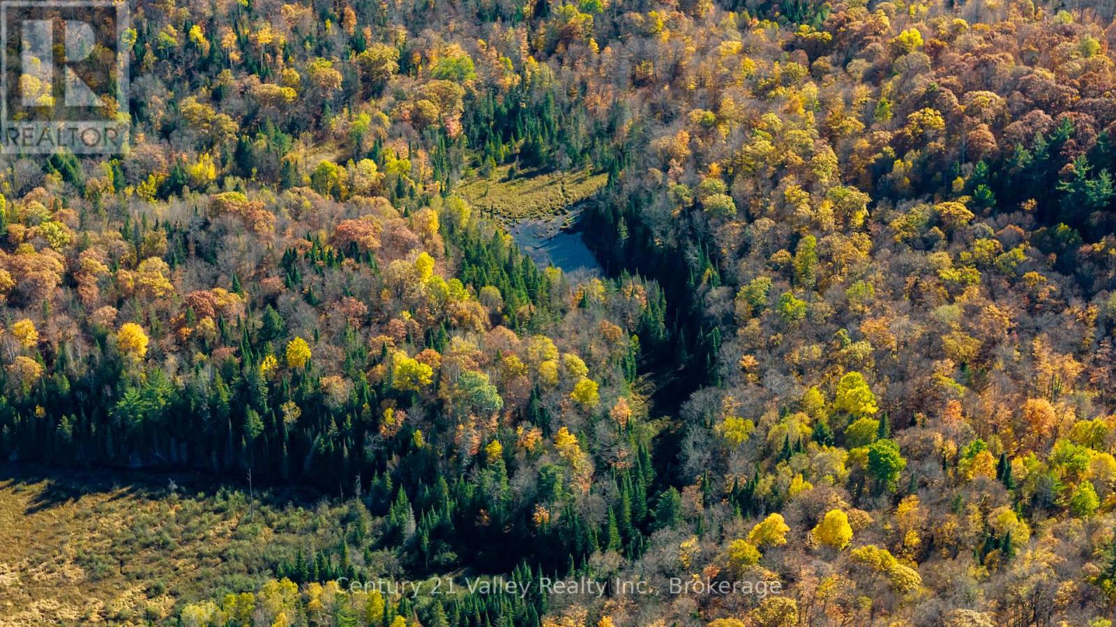 170 Shavens Lake Road, Bonnechere Valley, Ontario  K0J 1T0 - Photo 17 - X12949094