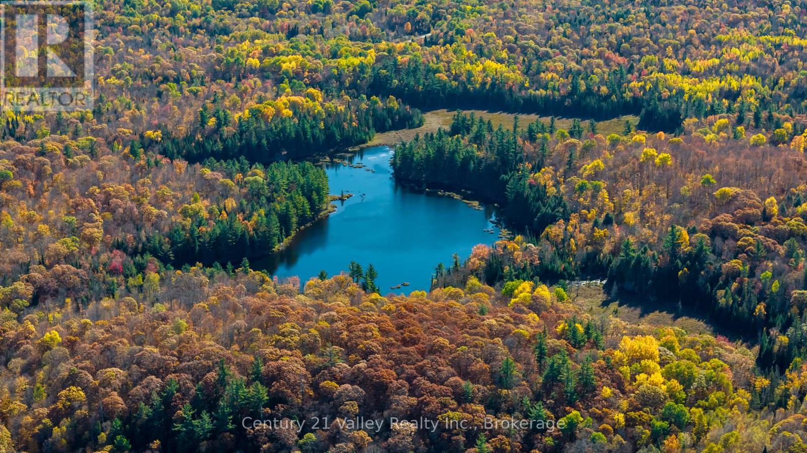 170 Shavens Lake Road, Bonnechere Valley, Ontario  K0J 1T0 - Photo 18 - X12949094