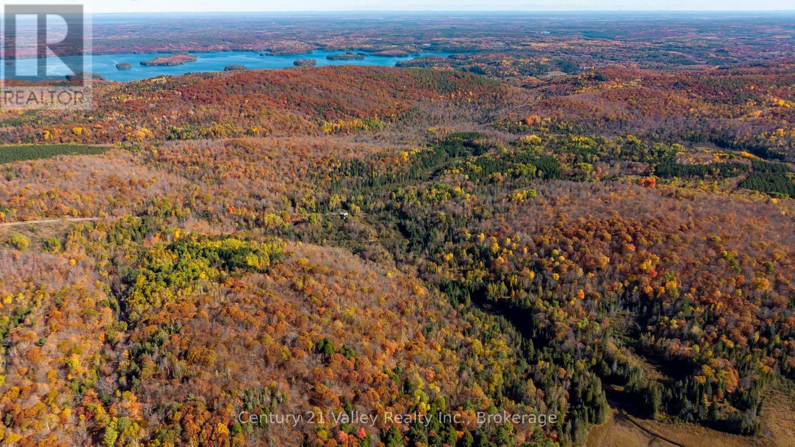 170 Shavens Lake Road, Bonnechere Valley, Ontario  K0J 1T0 - Photo 19 - X12949094