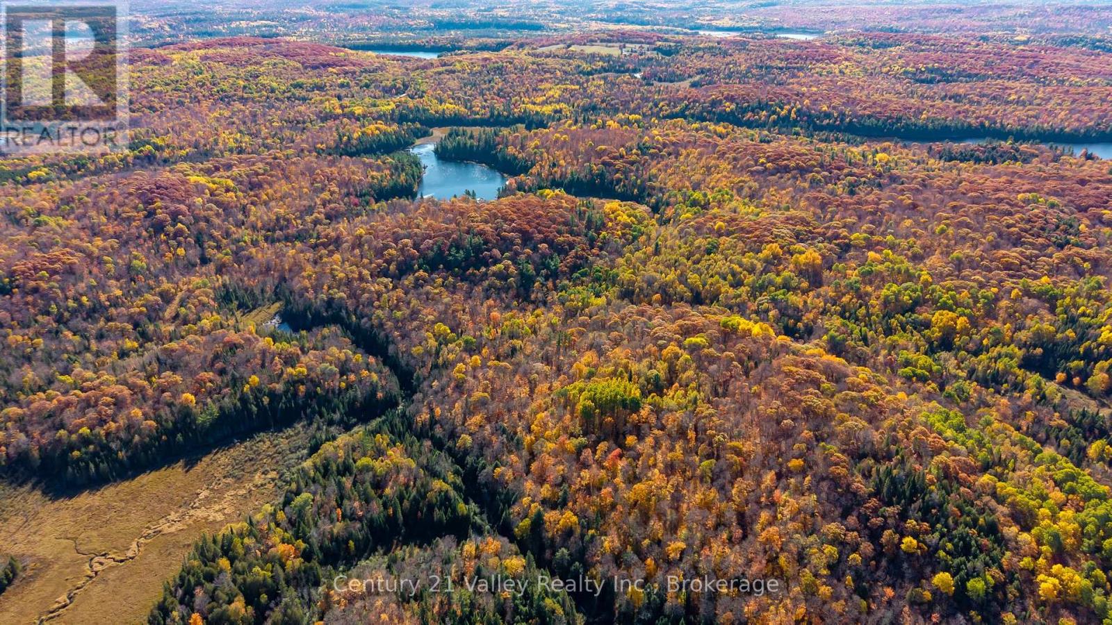 170 Shavens Lake Road, Bonnechere Valley, Ontario  K0J 1T0 - Photo 20 - X12949094