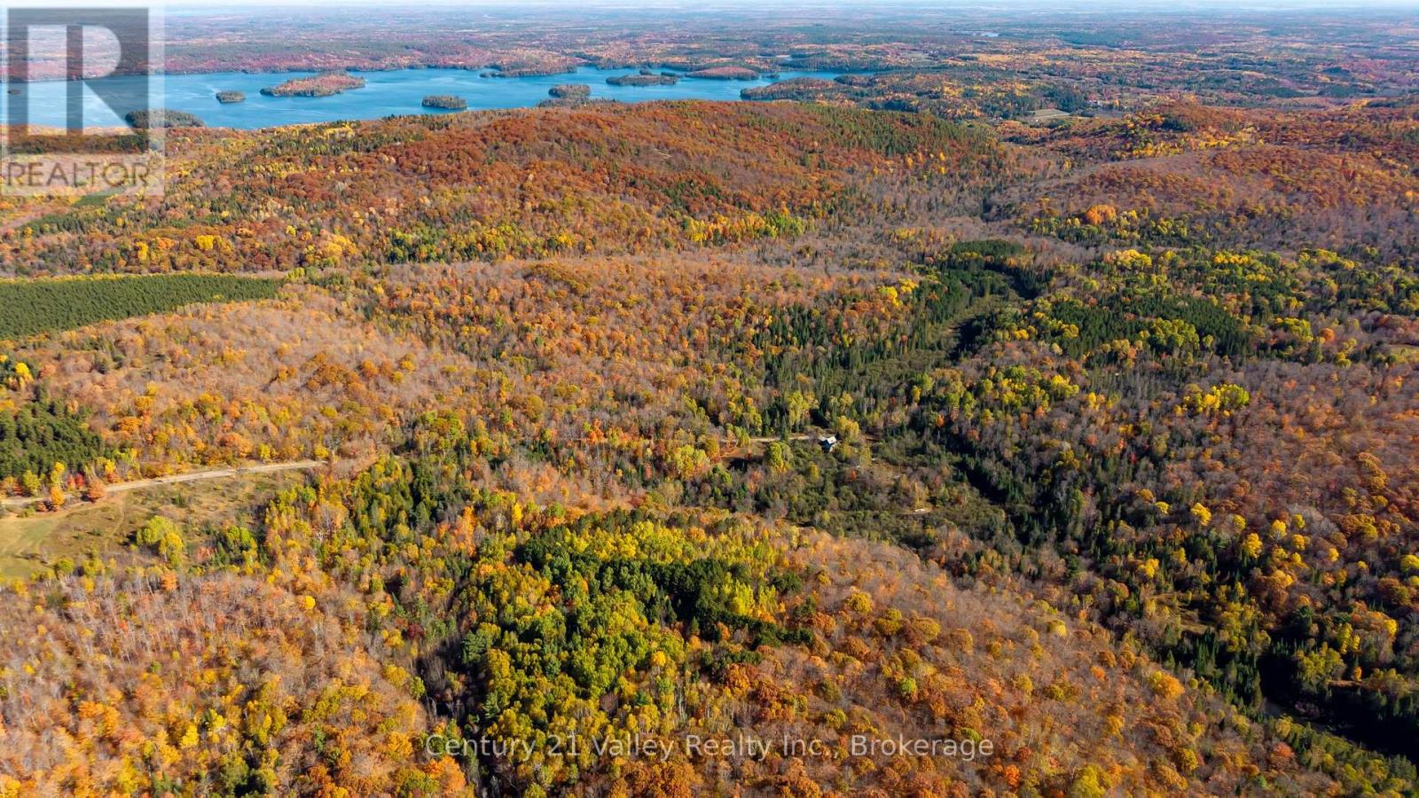 170 Shavens Lake Road, Bonnechere Valley, Ontario  K0J 1T0 - Photo 21 - X12949094