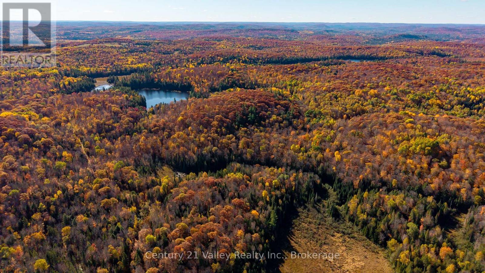 170 Shavens Lake Road, Bonnechere Valley, Ontario  K0J 1T0 - Photo 3 - X12949094