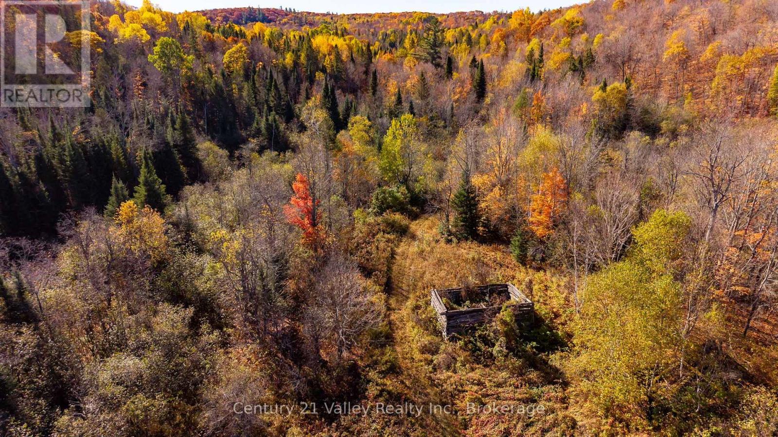 170 Shavens Lake Road, Bonnechere Valley, Ontario  K0J 1T0 - Photo 35 - X12949094