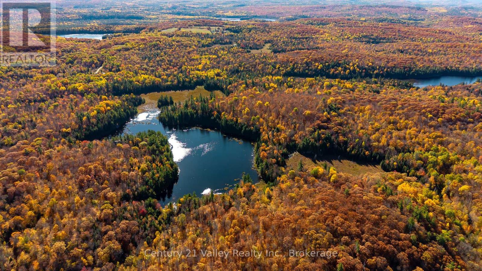 170 Shavens Lake Road, Bonnechere Valley, Ontario  K0J 1T0 - Photo 4 - X12949094