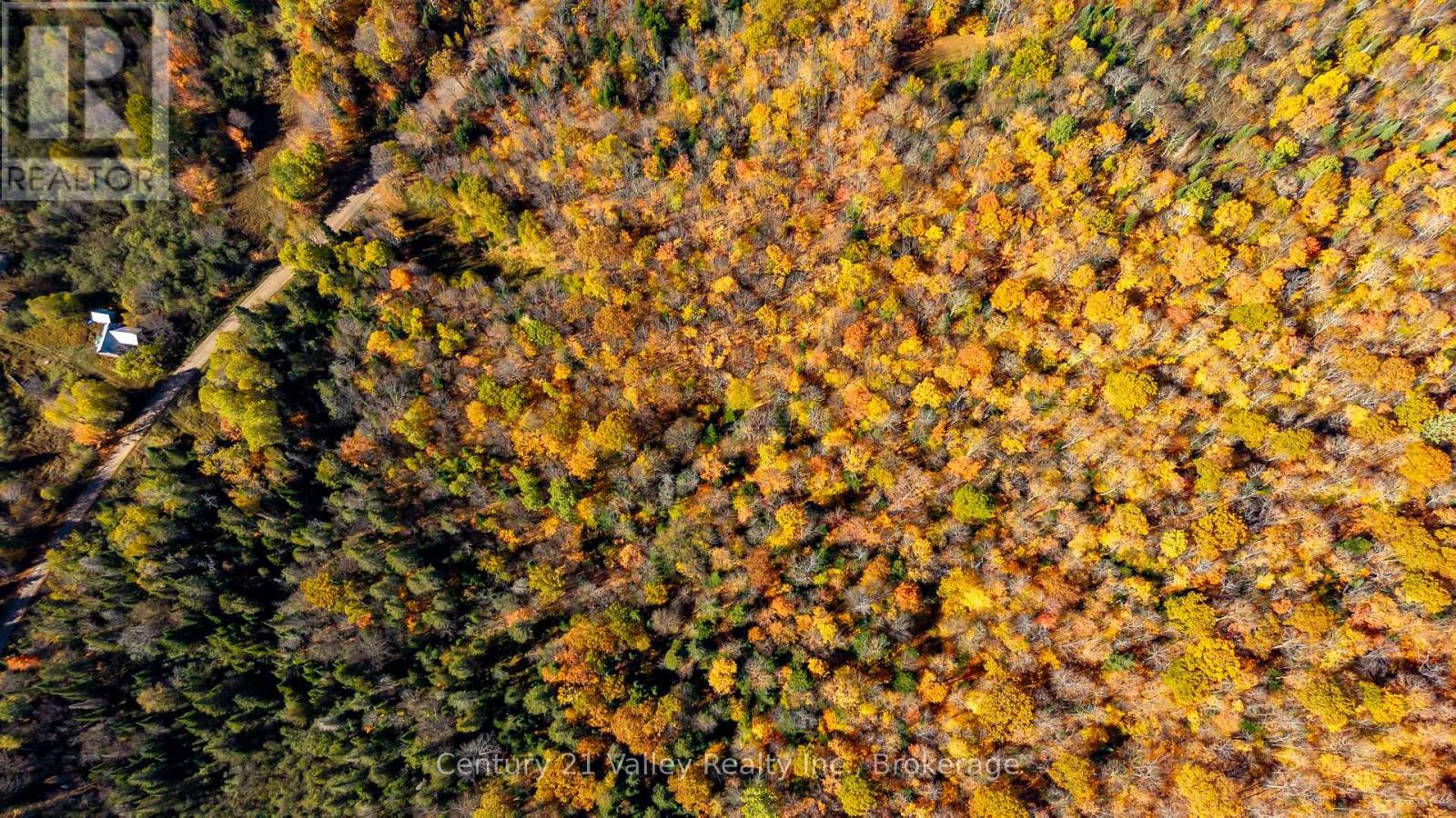 170 Shavens Lake Road, Bonnechere Valley, Ontario  K0J 1T0 - Photo 42 - X12949094