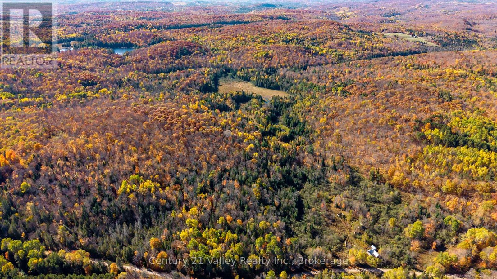 170 Shavens Lake Road, Bonnechere Valley, Ontario  K0J 1T0 - Photo 43 - X12949094