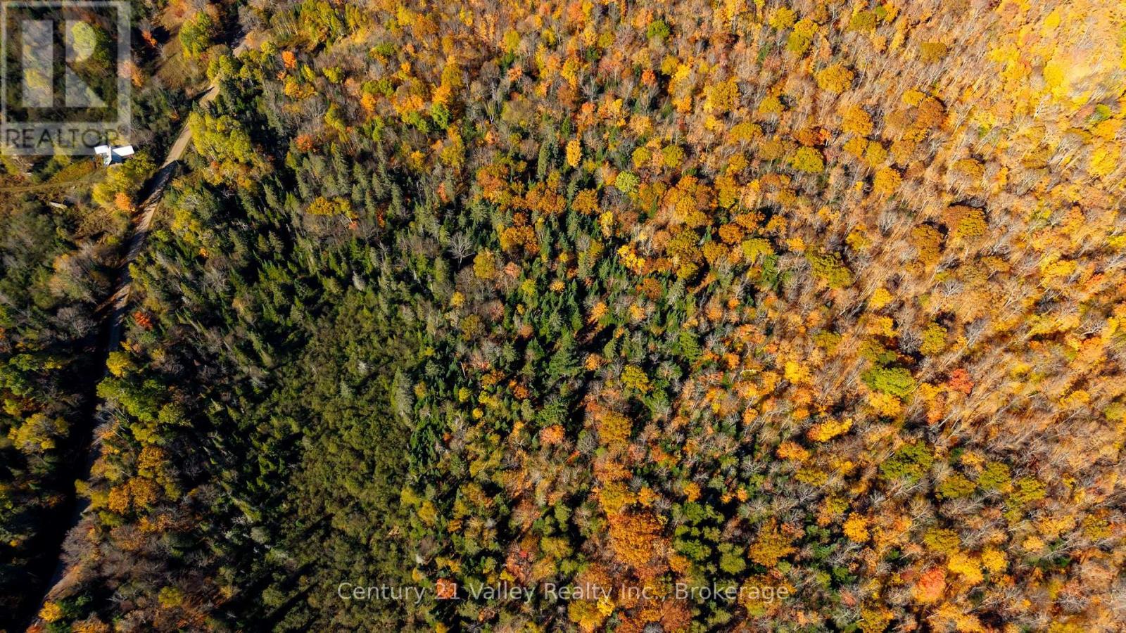 170 Shavens Lake Road, Bonnechere Valley, Ontario  K0J 1T0 - Photo 44 - X12949094