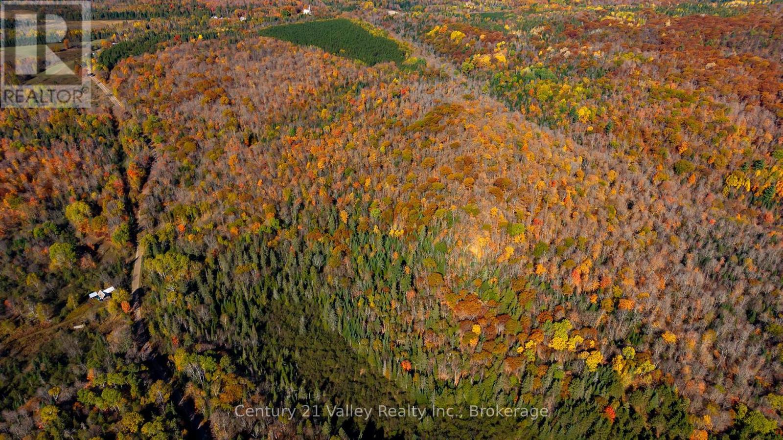 170 Shavens Lake Road, Bonnechere Valley, Ontario  K0J 1T0 - Photo 45 - X12949094