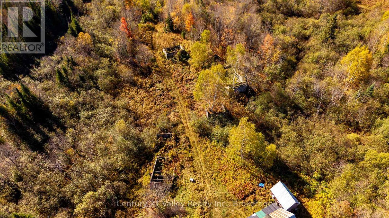 170 Shavens Lake Road, Bonnechere Valley, Ontario  K0J 1T0 - Photo 48 - X12949094