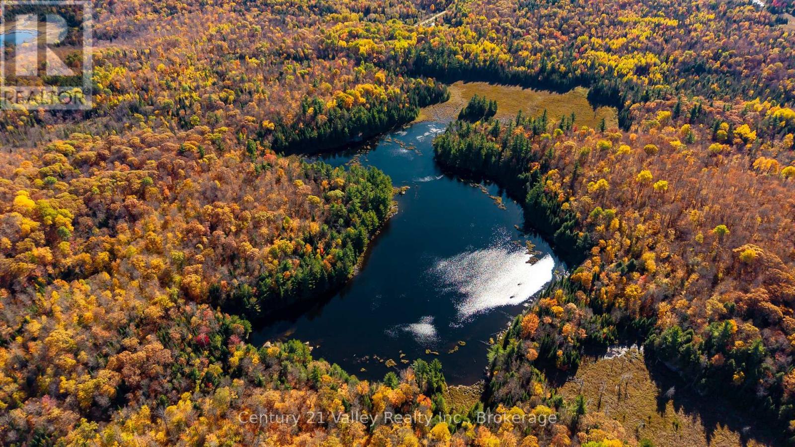 170 Shavens Lake Road, Bonnechere Valley, Ontario  K0J 1T0 - Photo 5 - X12949094