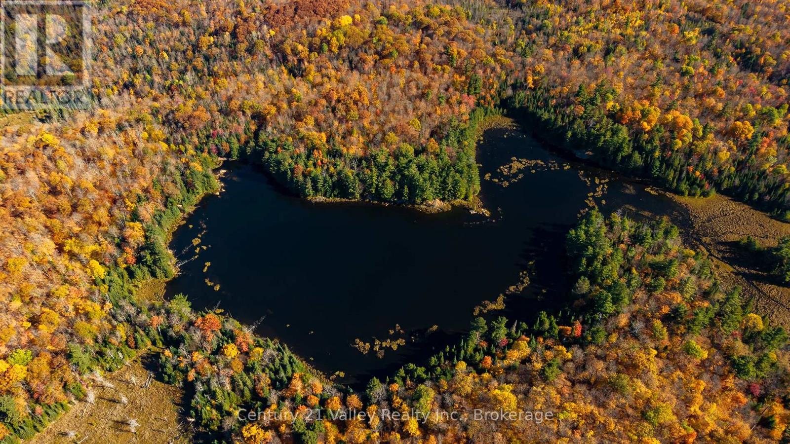 170 Shavens Lake Road, Bonnechere Valley, Ontario  K0J 1T0 - Photo 6 - X12949094