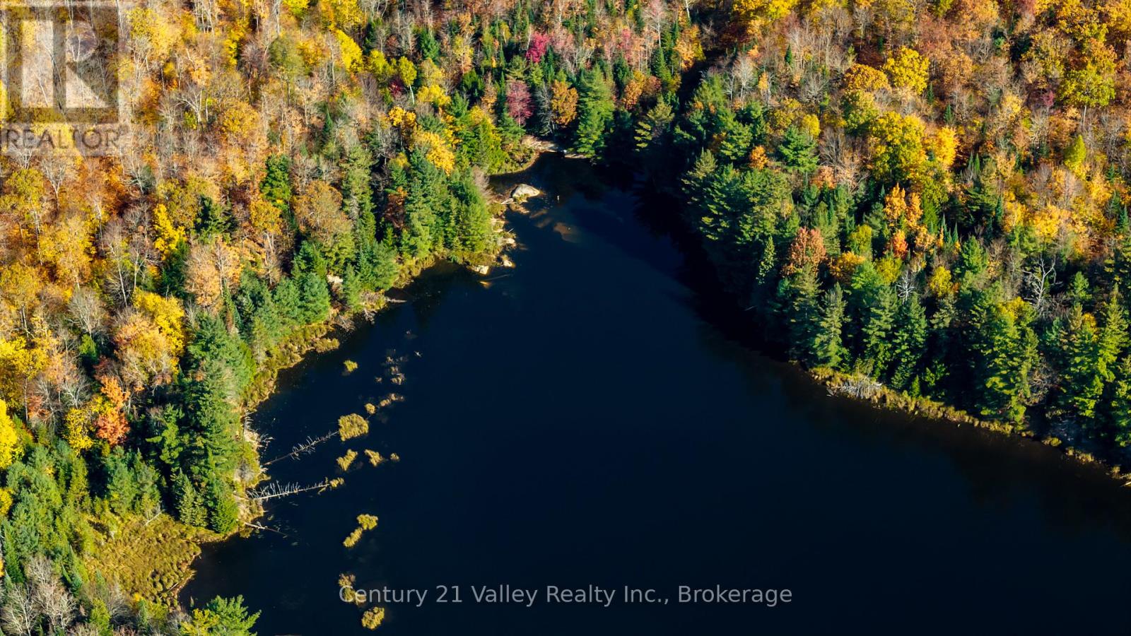 170 Shavens Lake Road, Bonnechere Valley, Ontario  K0J 1T0 - Photo 7 - X12949094