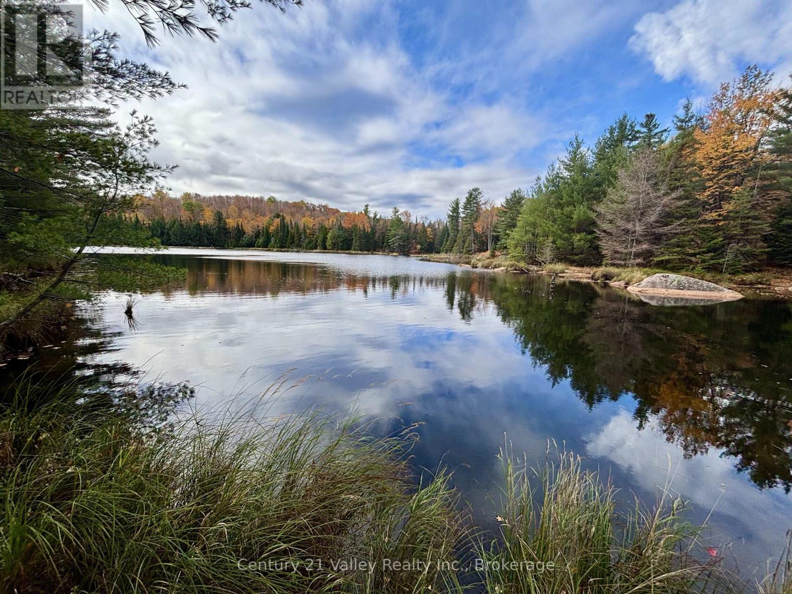 170 Shavens Lake Road, Bonnechere Valley, Ontario  K0J 1T0 - Photo 8 - X12949094