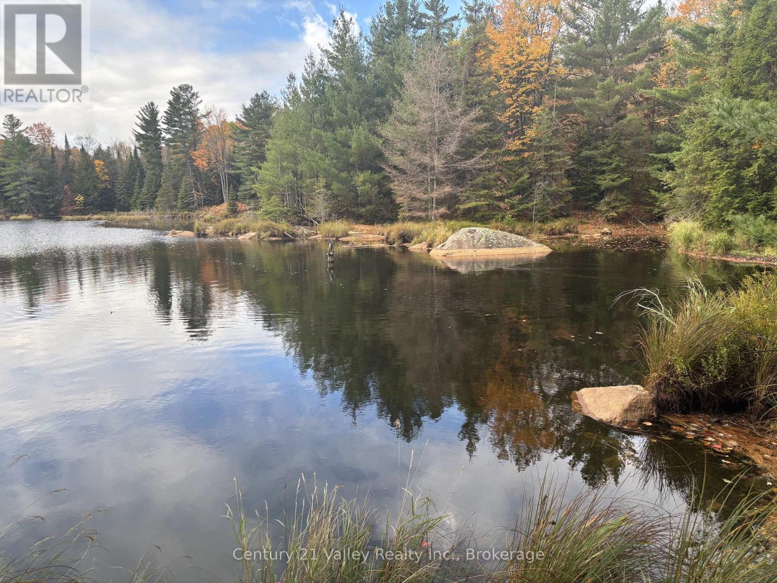 170 Shavens Lake Road, Bonnechere Valley, Ontario  K0J 1T0 - Photo 9 - X12949094