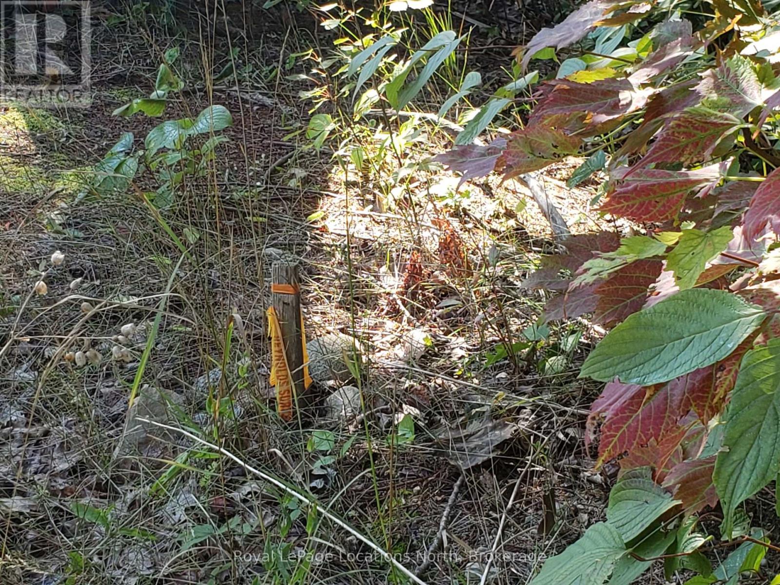 23 Stoney Road, Tiny, Ontario  L9M 0H2 - Photo 3 - S12949100