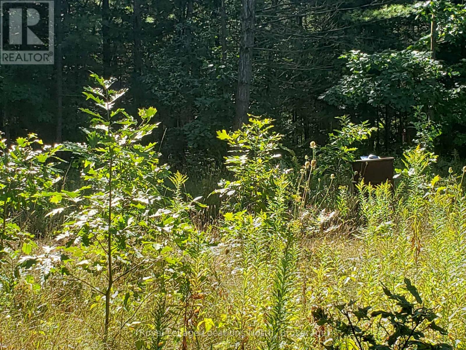 23 Stoney Road, Tiny, Ontario  L9M 0H2 - Photo 5 - S12949100