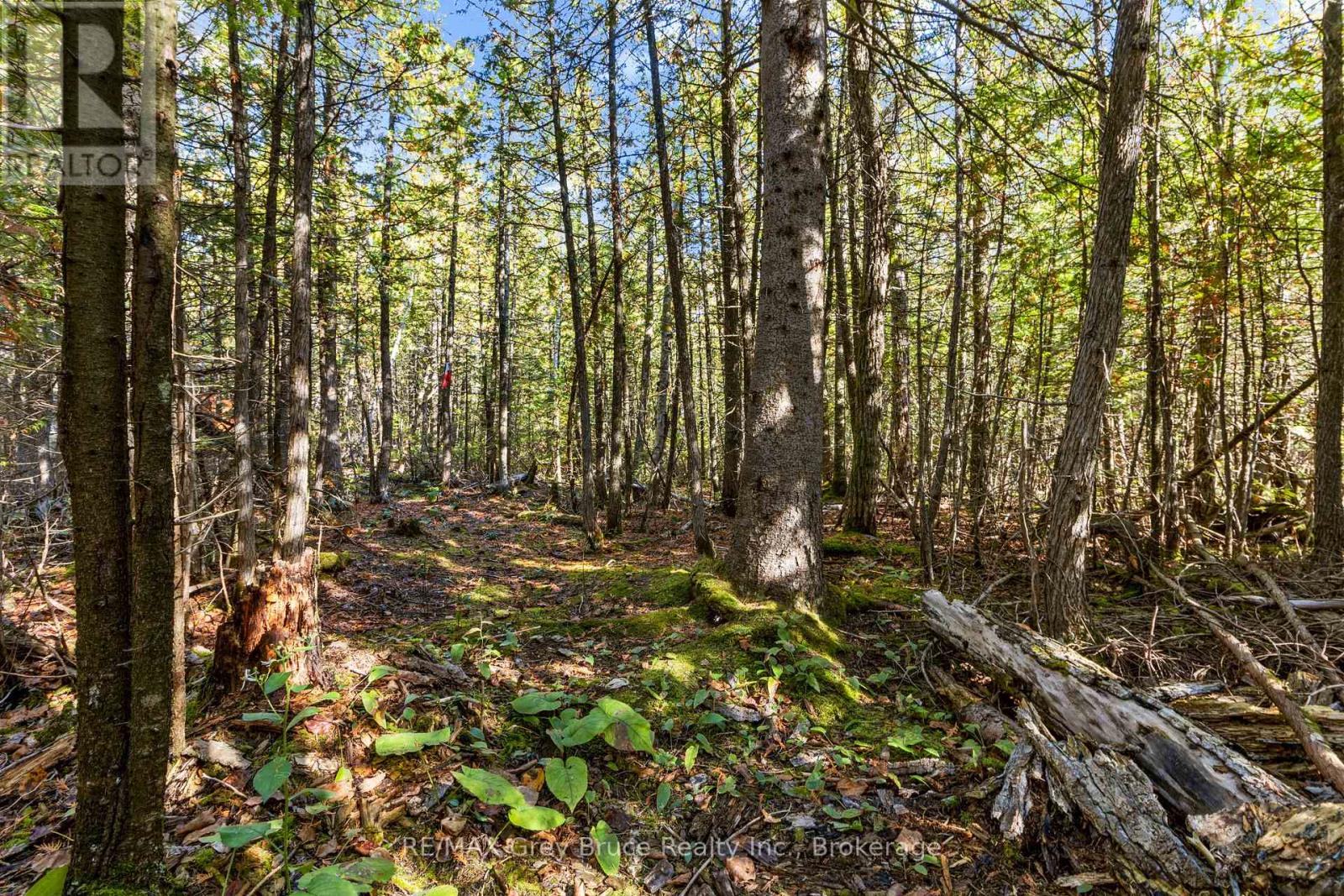 529 Lindsay Road 30, Northern Bruce Peninsula, Ontario  N0H 1Z0 - Photo 35 - X12949056