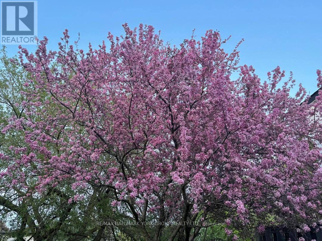 459 Sandford Street, Newmarket, Ontario  L3Y 4S8 - Photo 45 - N12949088