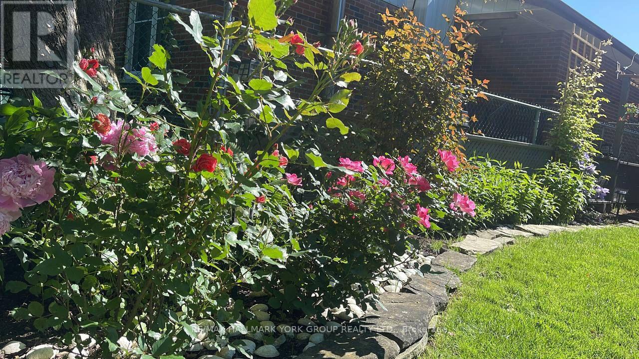 459 Sandford Street, Newmarket, Ontario  L3Y 4S8 - Photo 50 - N12949088