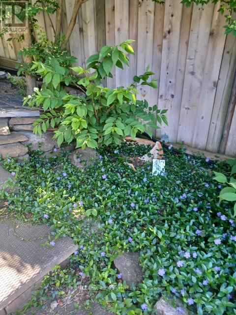 1169 Ewing Crescent, Mississauga, Ontario  L5V 1C1 - Photo 42 - W12949064