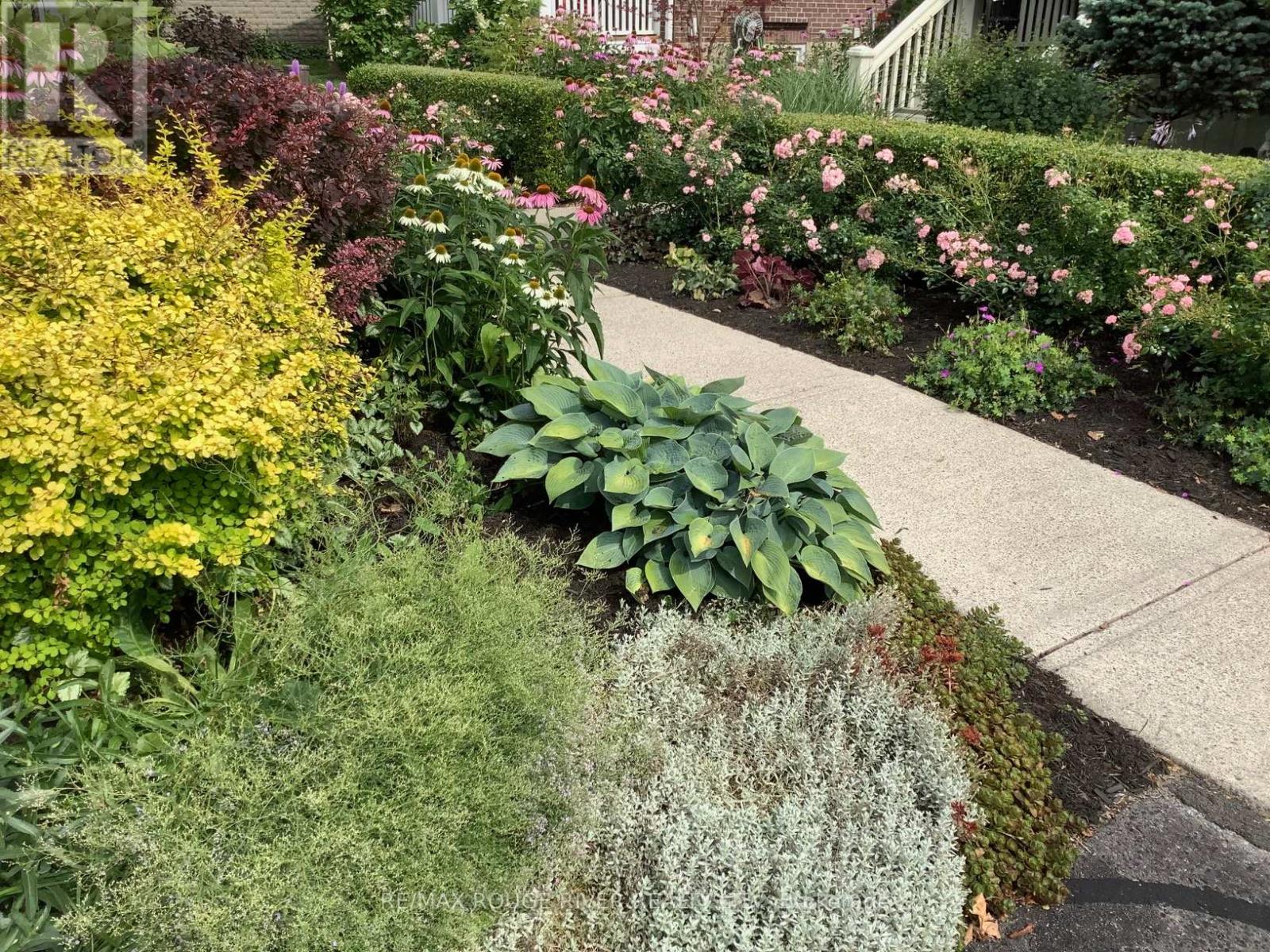 185 Chapel Street, Cobourg, Ontario  K9A 1J6 - Photo 34 - X12938690