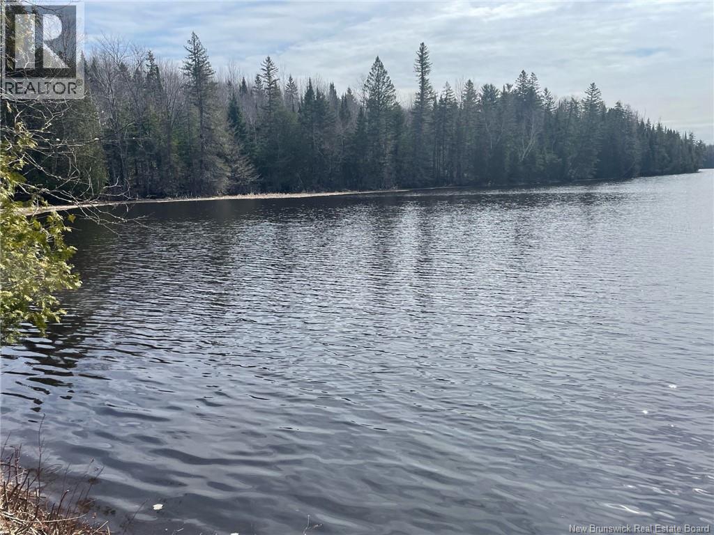 Lot 23-1 And Lot 23-2 Alden Warmen Road, Bass River, New Brunswick  E4T 1A9 - Photo 10 - NB136348