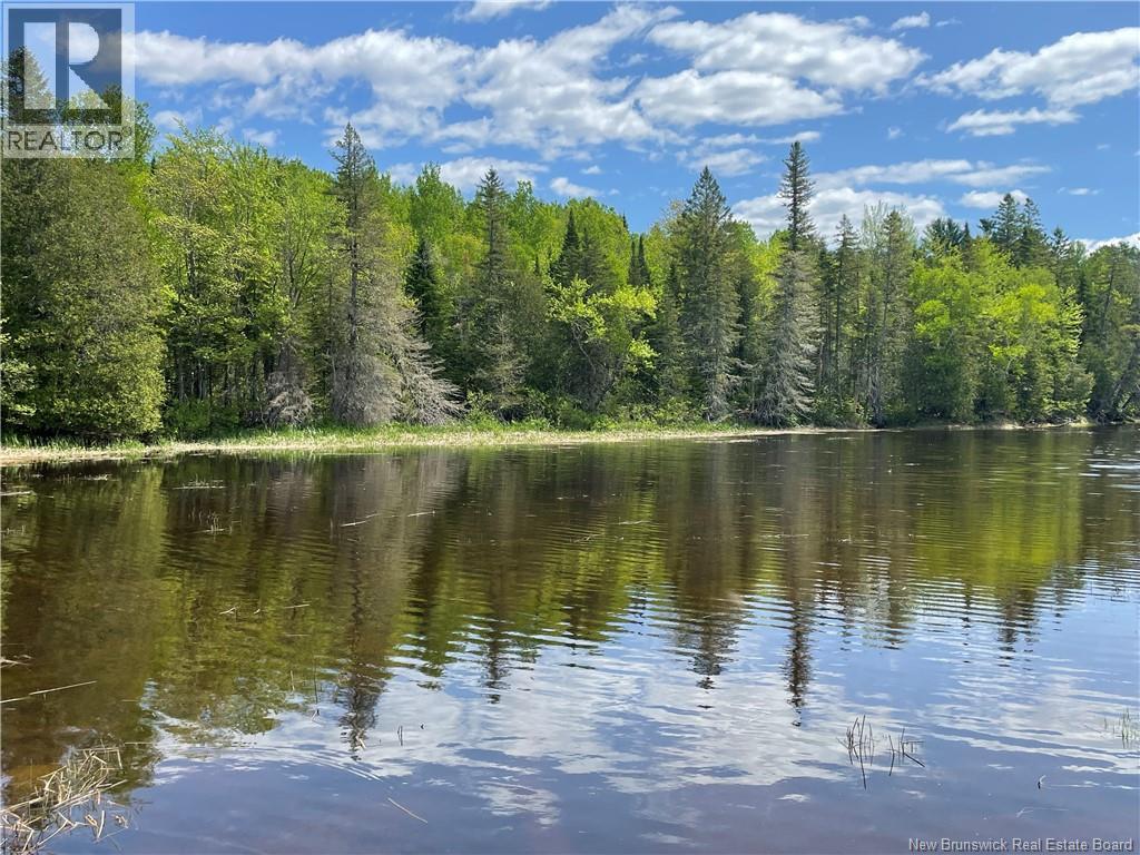 Lot 23-1 And Lot 23-2 Alden Warmen Road, Bass River, New Brunswick  E4T 1A9 - Photo 13 - NB136348