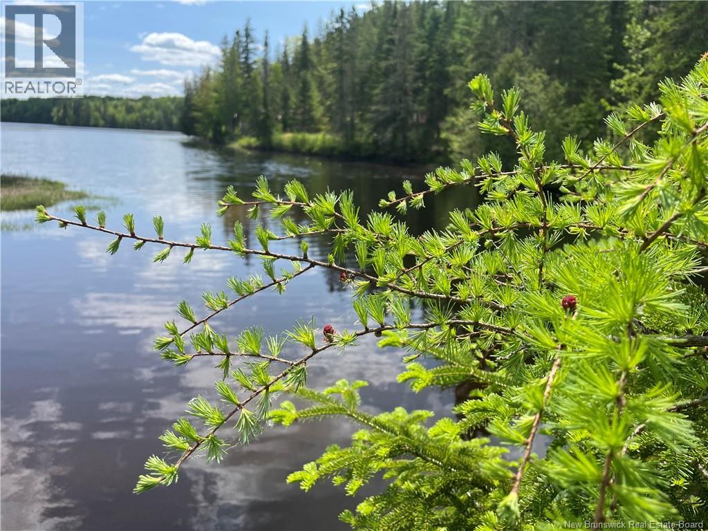 Lot 23-1 And Lot 23-2 Alden Warmen Road, Bass River, New Brunswick  E4T 1A9 - Photo 14 - NB136348