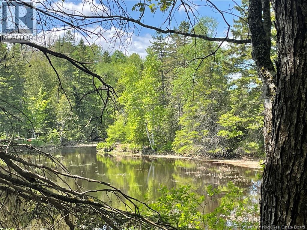 Lot 23-1 And Lot 23-2 Alden Warmen Road, Bass River, New Brunswick  E4T 1A9 - Photo 15 - NB136348