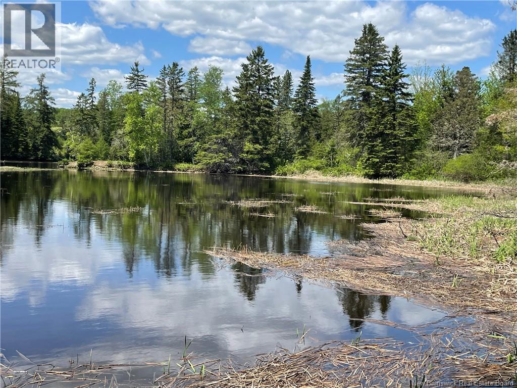 Lot 23-1 And Lot 23-2 Alden Warmen Road, Bass River, New Brunswick  E4T 1A9 - Photo 16 - NB136348