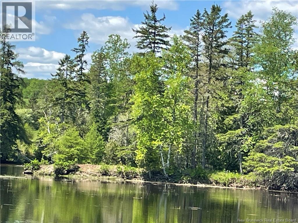 Lot 23-1 And Lot 23-2 Alden Warmen Road, Bass River, New Brunswick  E4T 1A9 - Photo 17 - NB136348