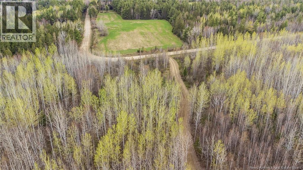 Lot 23-1 And Lot 23-2 Alden Warmen Road, Bass River, New Brunswick  E4T 1A9 - Photo 18 - NB136348