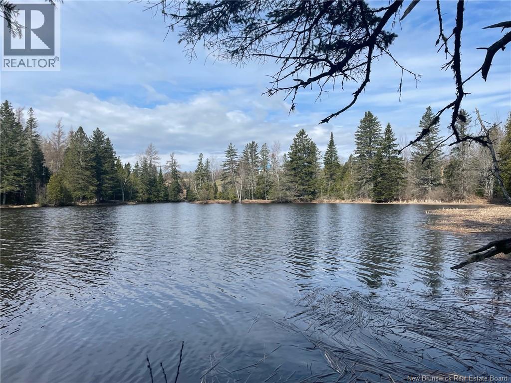 Lot 23-1 And Lot 23-2 Alden Warmen Road, Bass River, New Brunswick  E4T 1A9 - Photo 2 - NB136348