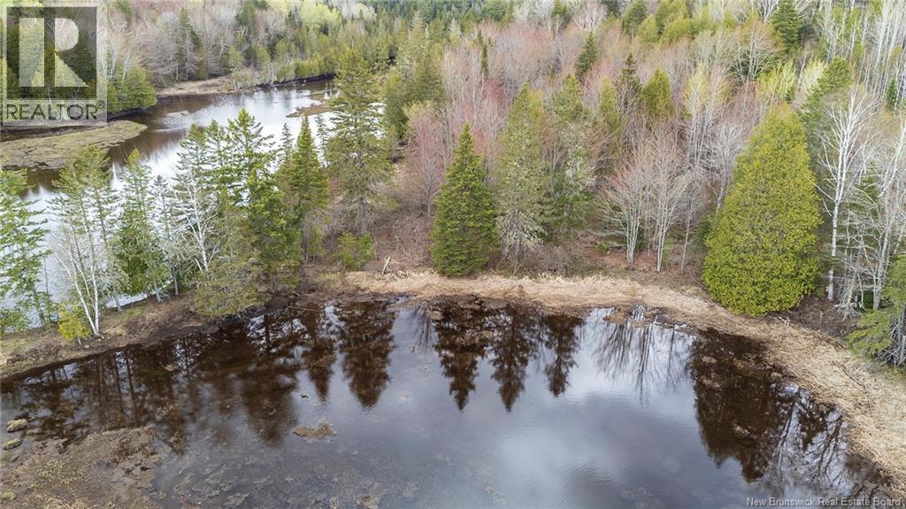 Lot 23-1 And Lot 23-2 Alden Warmen Road, Bass River, New Brunswick  E4T 1A9 - Photo 28 - NB136348