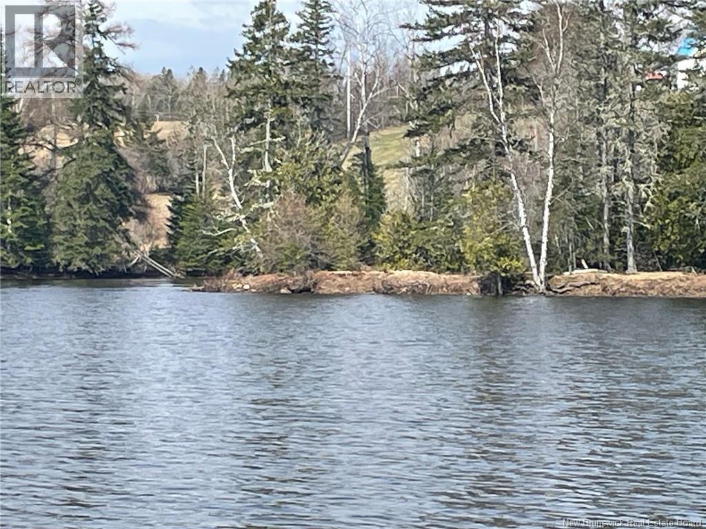 Lot 23-1 And Lot 23-2 Alden Warmen Road, Bass River, New Brunswick  E4T 1A9 - Photo 3 - NB136348