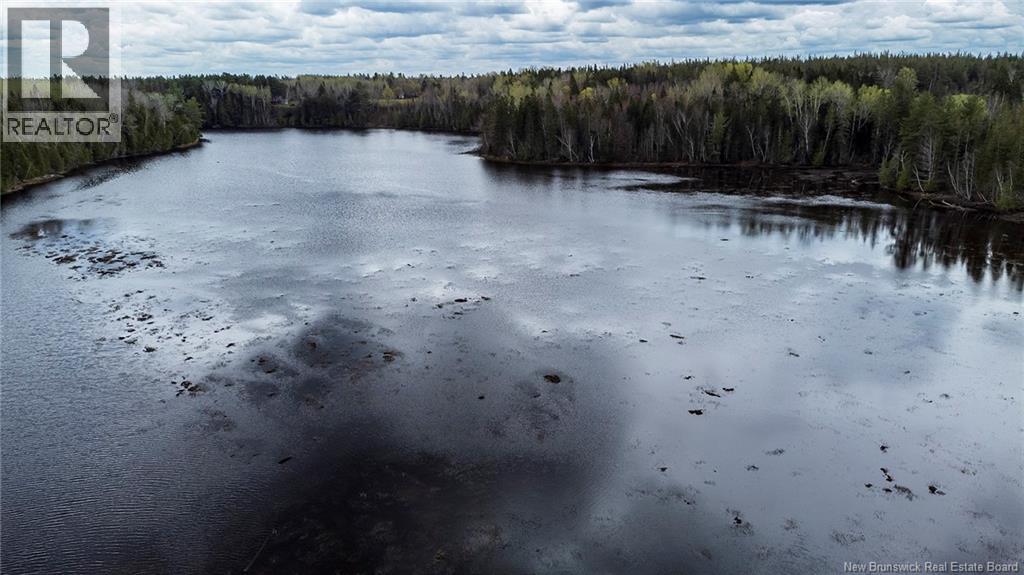 Lot 23-1 And Lot 23-2 Alden Warmen Road, Bass River, New Brunswick  E4T 1A9 - Photo 31 - NB136348
