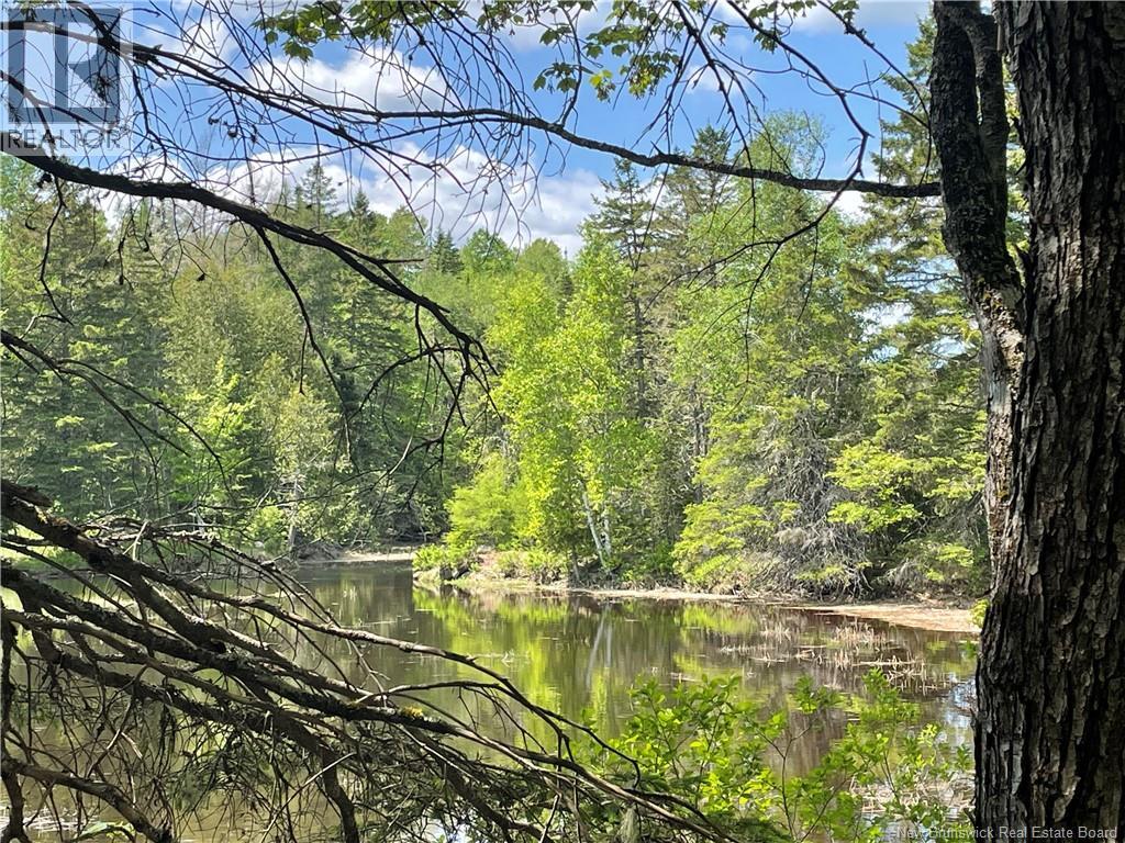 Lot 23-1 And Lot 23-2 Alden Warmen Road, Bass River, New Brunswick  E4T 1A9 - Photo 36 - NB136348