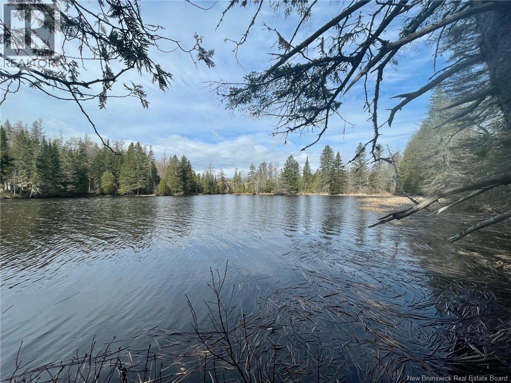 Lot 23-1 And Lot 23-2 Alden Warmen Road, Bass River, New Brunswick  E4T 1A9 - Photo 4 - NB136348