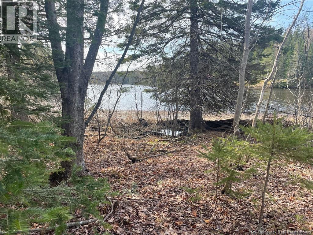 Lot 23-1 And Lot 23-2 Alden Warmen Road, Bass River, New Brunswick  E4T 1A9 - Photo 7 - NB136348