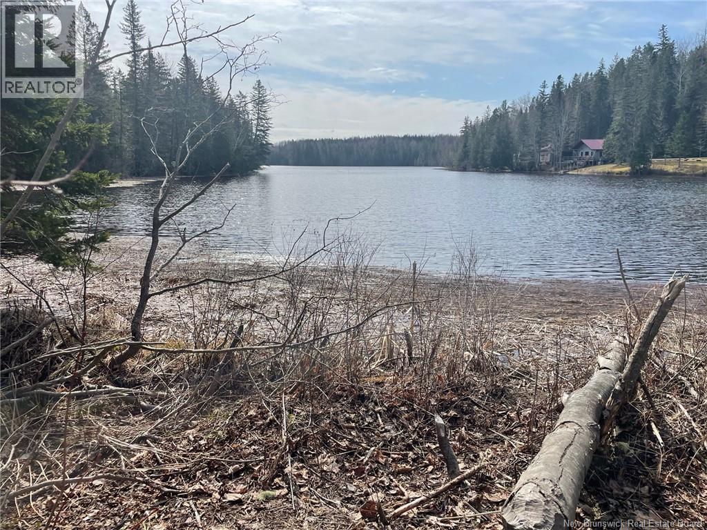 Lot 23-1 And Lot 23-2 Alden Warmen Road, Bass River, New Brunswick  E4T 1A9 - Photo 8 - NB136348