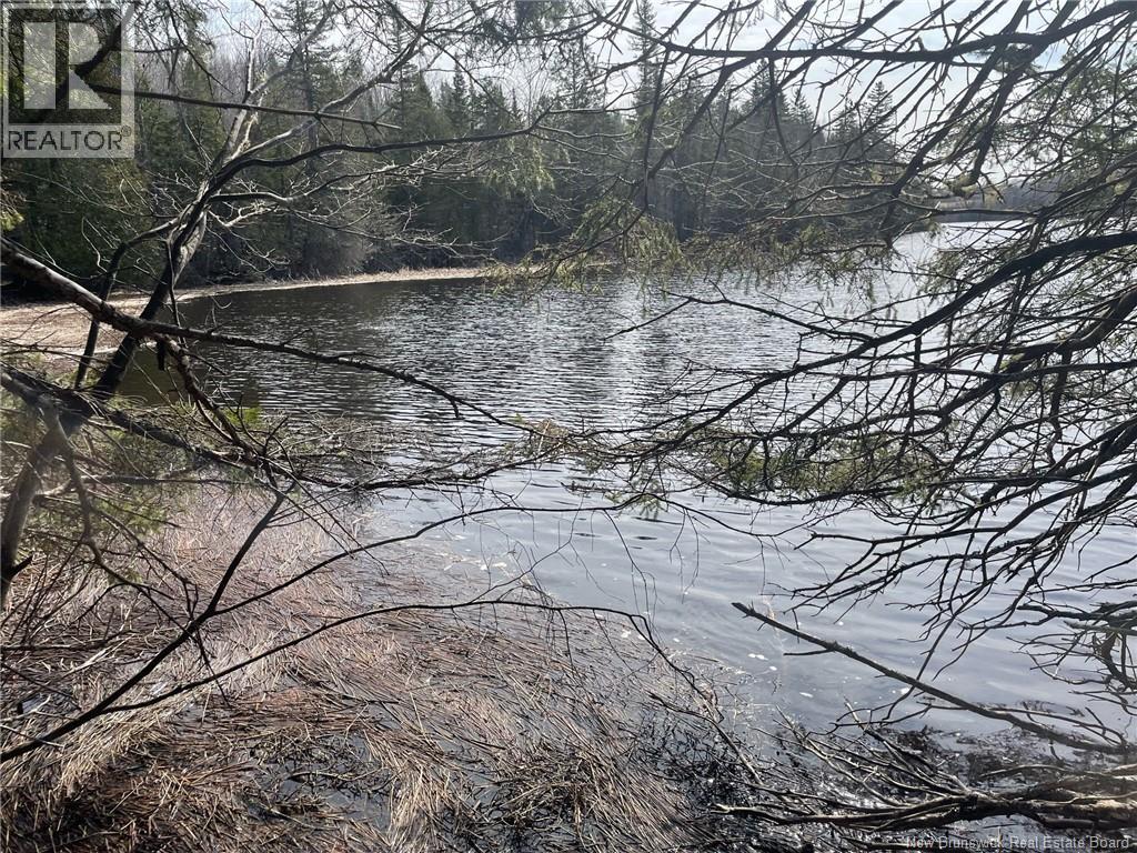 Lot 23-1 And Lot 23-2 Alden Warmen Road, Bass River, New Brunswick  E4T 1A9 - Photo 9 - NB136348