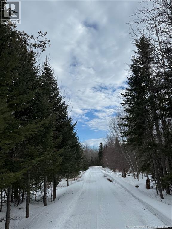 540 Hardwicke Road, Hardwicke, New Brunswick  E9A 1L6 - Photo 29 - NB134553