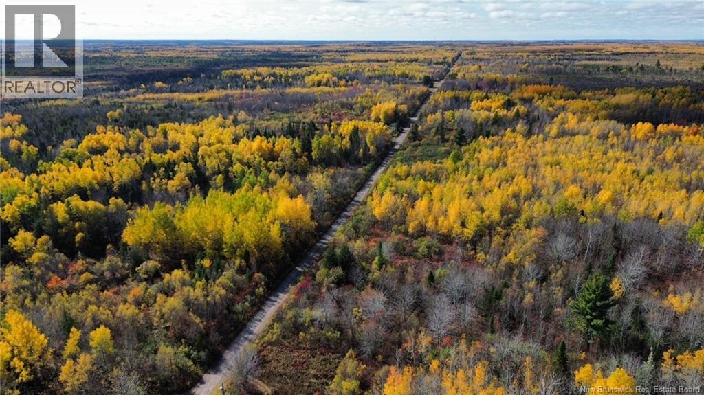 Lot Saint Augustin Road, Adamsville, New Brunswick  E4T 2E9 - Photo 11 - NB125889