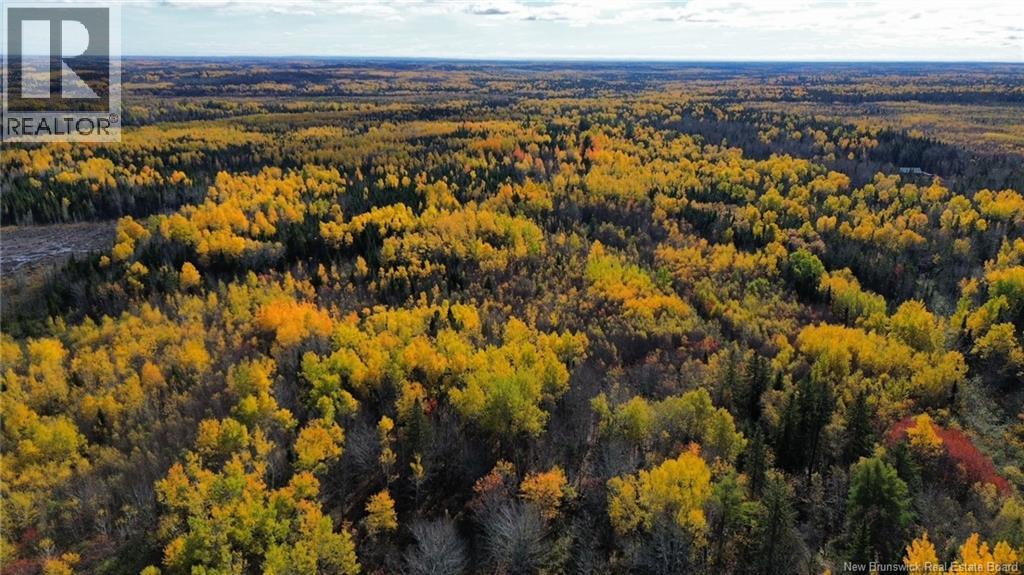 Lot Saint Augustin Road, Adamsville, New Brunswick  E4T 2E9 - Photo 12 - NB125889
