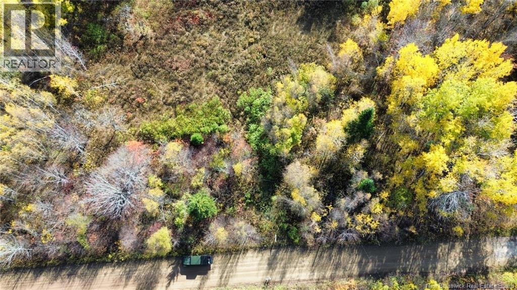 Lot Saint Augustin Road, Adamsville, New Brunswick  E4T 2E9 - Photo 7 - NB125889