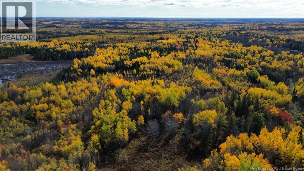 Lot Saint Augustin Road, Adamsville, New Brunswick  E4T 2E9 - Photo 10 - NB125889