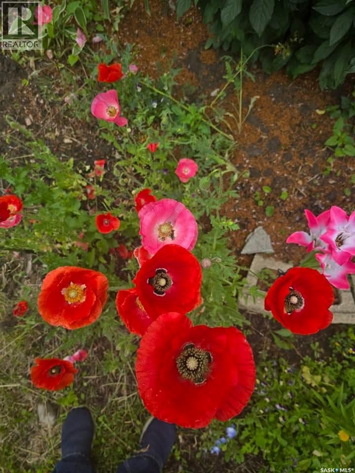 1011 Taylor Street E, Saskatoon, Saskatchewan  S7H 1W4 - Photo 51 - SK031667