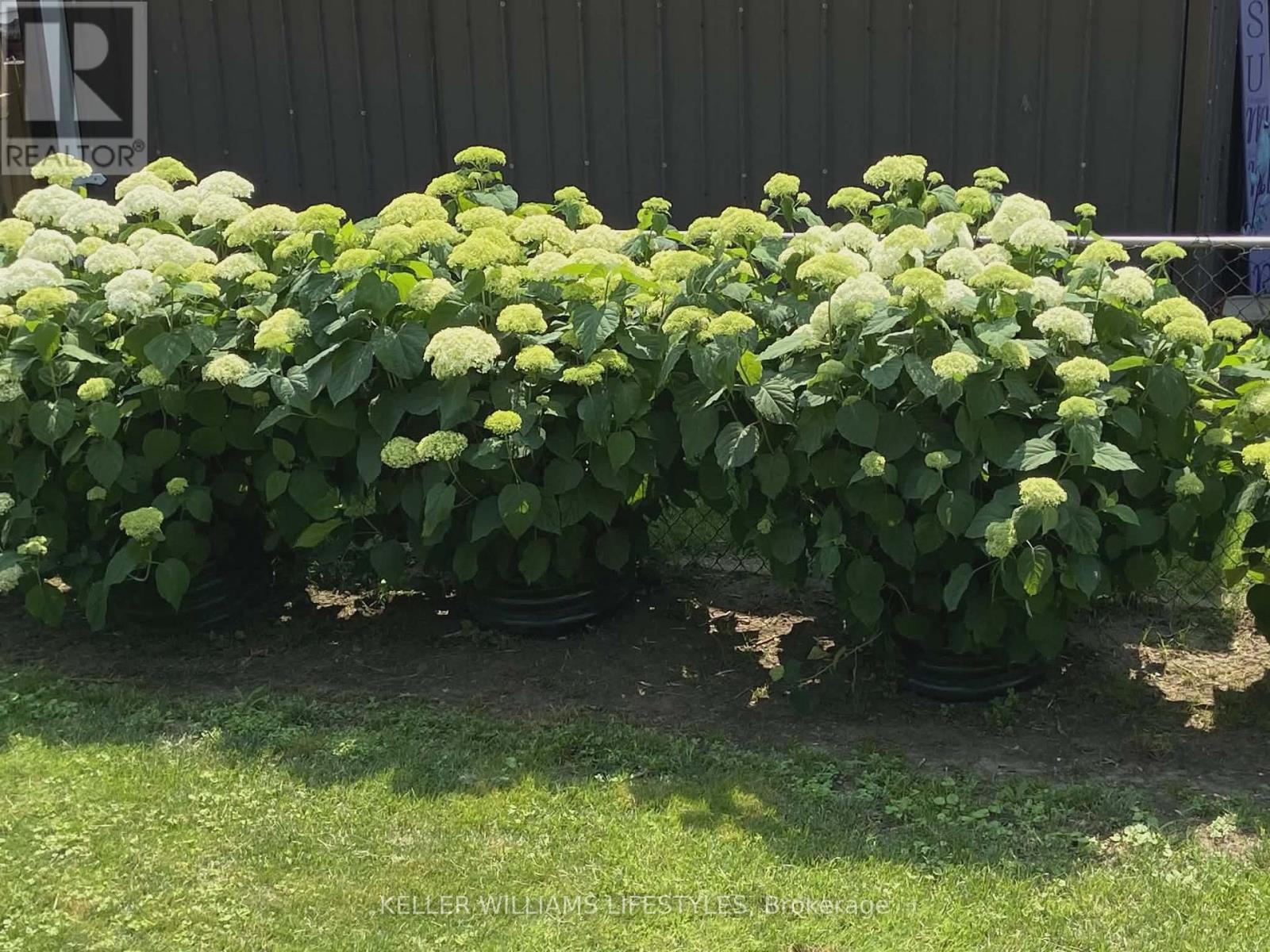 97 Main Street, Southwest Middlesex, Ontario  N0L 1M0 - Photo 49 - X12949192